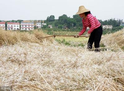 山西省秸秆综合利用县级以上财政需给予支持