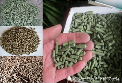 玉米价格上涨 养猪户自己加工饲料降成本 颗粒料受欢迎 听听养猪人咋说