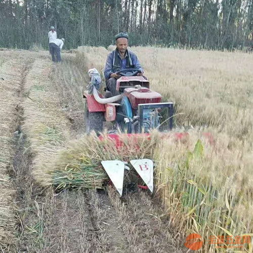 桃江县小型水田易操作水稻收割机 甜叶菊收割机厂家